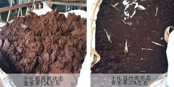 江苏某生物制品公司 危废污泥干化机安装案例