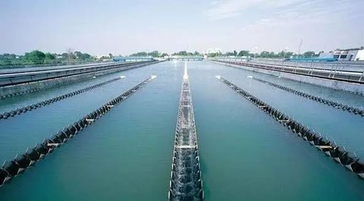 Summary on sludge drying technology!