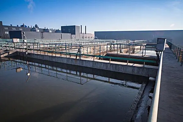What basics do you need to know about sludge if you are in a circle?