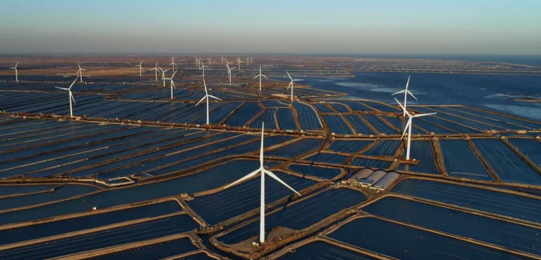 Carbon Neutrality: The Next Must-Have for Eco-Tech Companies