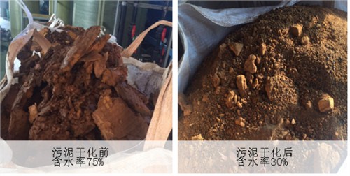 ニュース